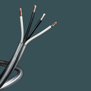 Кабель Акустический Abbey Road Cable (Арт.738) Monitor Speaker Cable Bi-Wire 0.67m