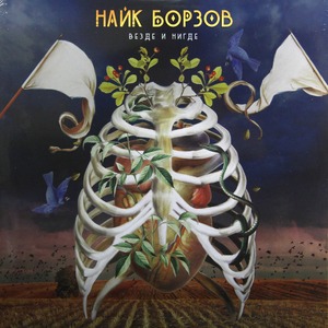 Виниловая пластинка и CD LP Найк Борзов - Везде и Нигде (889397102814)