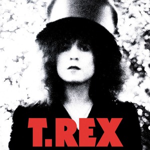 Виниловая пластинка и CD LP T. REX - THE SLIDER (0767981123219)