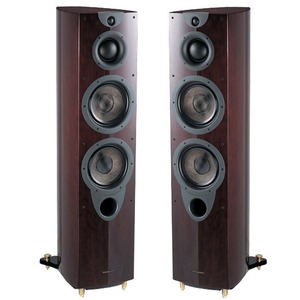 Колонка напольная Wharfedale EVO2 50 Rosewood