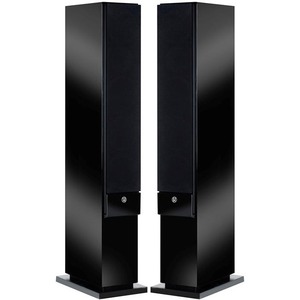 Колонка напольная System Audio SA Explorer Master Black