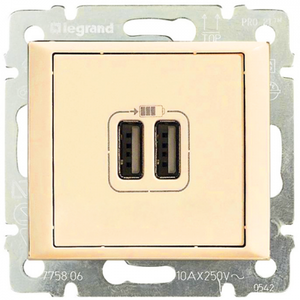 Розетка USB Legrand 774170 Valena