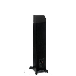 Колонка напольная Martin Logan Motion 10