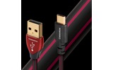 Кабель USB Audioquest Cinnamon USB A-C 0.75m