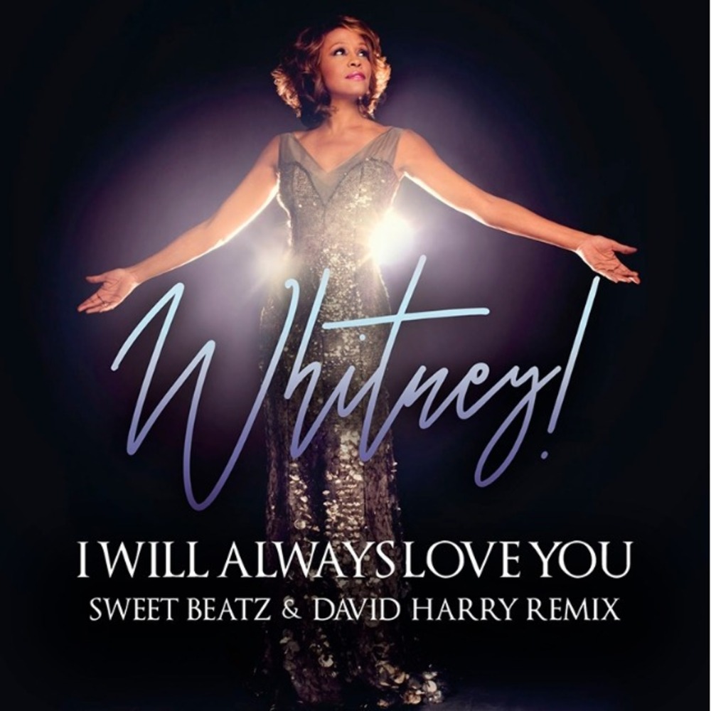 Виниловая пластинка LP Whitney Houston I Will Always Love You: The Best Of  Whitney Houston - отзывы покупателей, владельцев в интернет магазине  AllCables - Москва