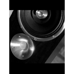 Колонка напольная Zu Audio Druid Black