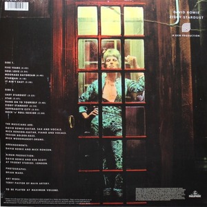 Виниловая пластинка и CD LP David Bowie / The Rise And Fall Of Ziggy Stardust And The Spiders (Picture Disc)