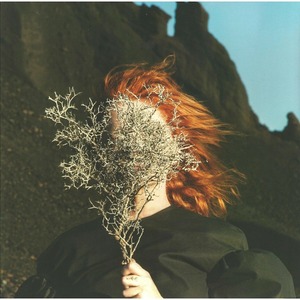 Виниловая пластинка и CD LP Goldfrapp / Silver Eye