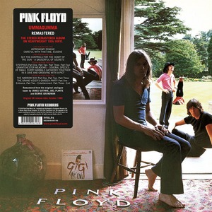 Виниловая пластинка и CD LP Pink Floyd / Ummagumma