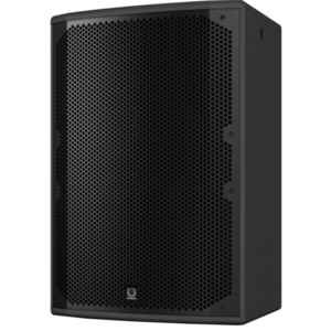 Колонка концертная Turbosound DUBLIN TCX122 black