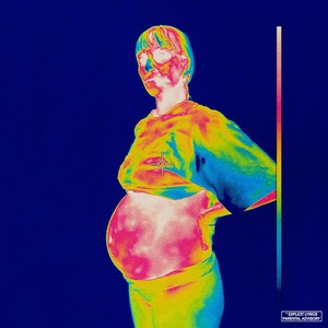 Виниловая пластинка и CD LP Brockhampton - Iridescence (Clear Vinyl)