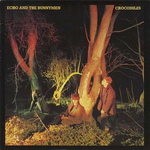 Виниловая пластинка и CD LP Echo & The Bunnymen - Crocodiles