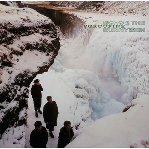 Виниловая пластинка и CD LP Echo & The Bunnymen - Porcupine