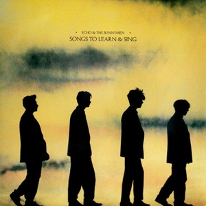 Виниловая пластинка и CD LP Echo & The Bunnymen - Songs To Learn & Sing