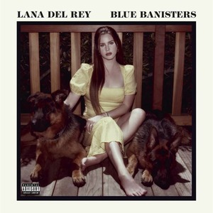 Виниловая пластинка и CD LP Lana Del Rey - Blue Banisters