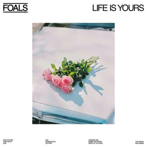 Виниловая пластинка и CD LP Foals - Life Is Yours