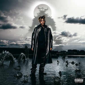 Виниловая пластинка и CD LP Juice WRLD - Fighting Demons