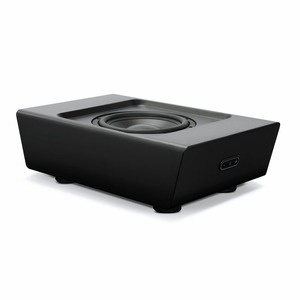 Сабвуфер Bluesound Pulse Sub Plus Black