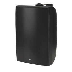 Всепогодная акустическая система Tannoy DVS 4 Black