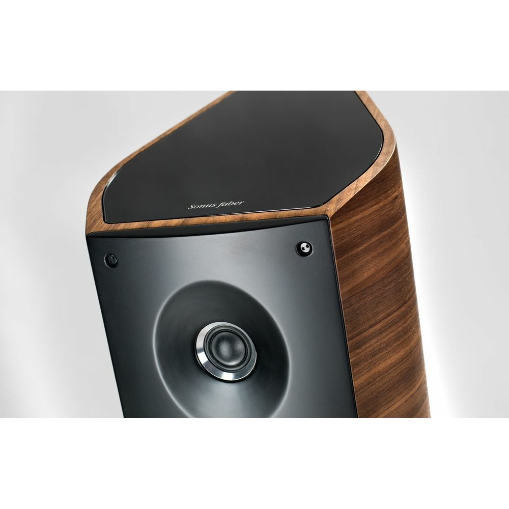 Plus сабвуфер. Сонус Фабер акустика. Sonus Faber Venere Wood. Sonus Faber Venere s. Саундбар Sonus Faber.